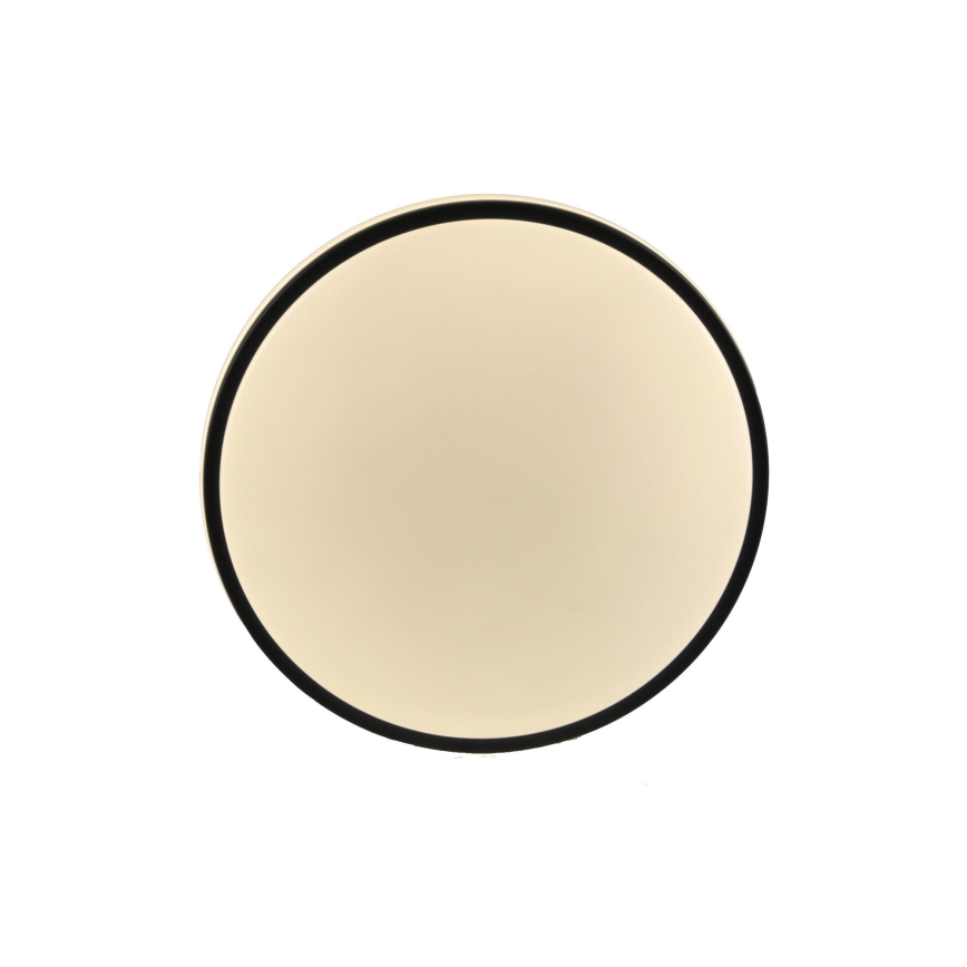 LED Stropné svietidlo ORBIT LED/15W/230V pr. 28 cm čierna