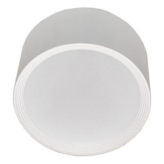 LED Stropné svietidlo PERCI LED/20W/230V IP40 4000K biela