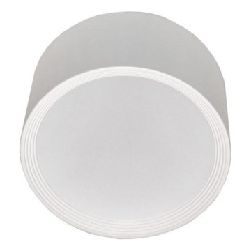 LED Stropné svietidlo PERCI LED/30W/230V IP40 4000K biela