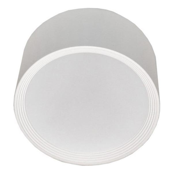 LED Stropné svietidlo PERCI LED/30W/230V IP40 4000K biela