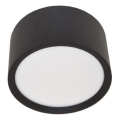 LED Stropné svietidlo PERCI LED/30W/230V IP40 4000K čierna