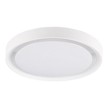 LED Stropné svietidlo PERSE LED/15W/230V biela