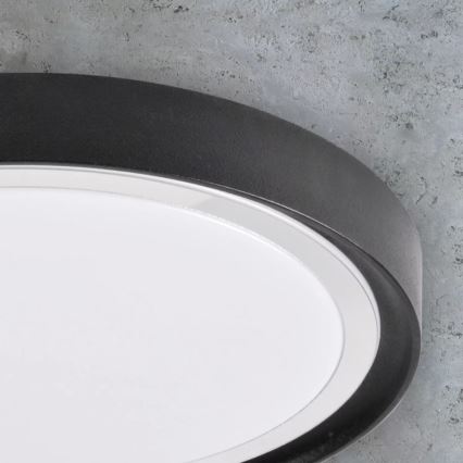 LED Stropné svietidlo PERSE LED/15W/230V čierna