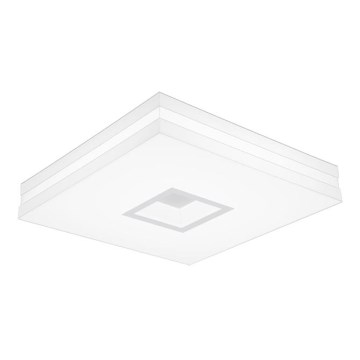 LED Stropné svietidlo PETY 500 LED/42W/230V