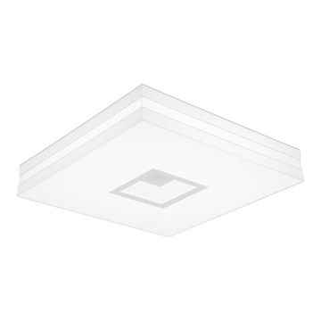 LED Stropné svietidlo PETY 800 LED/100W/230V