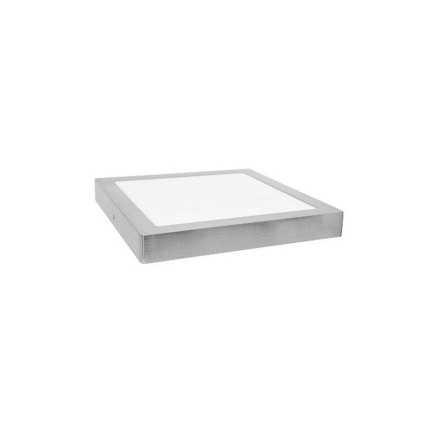 LED Stropné svietidlo RAFA LED/12W/230V 2700K