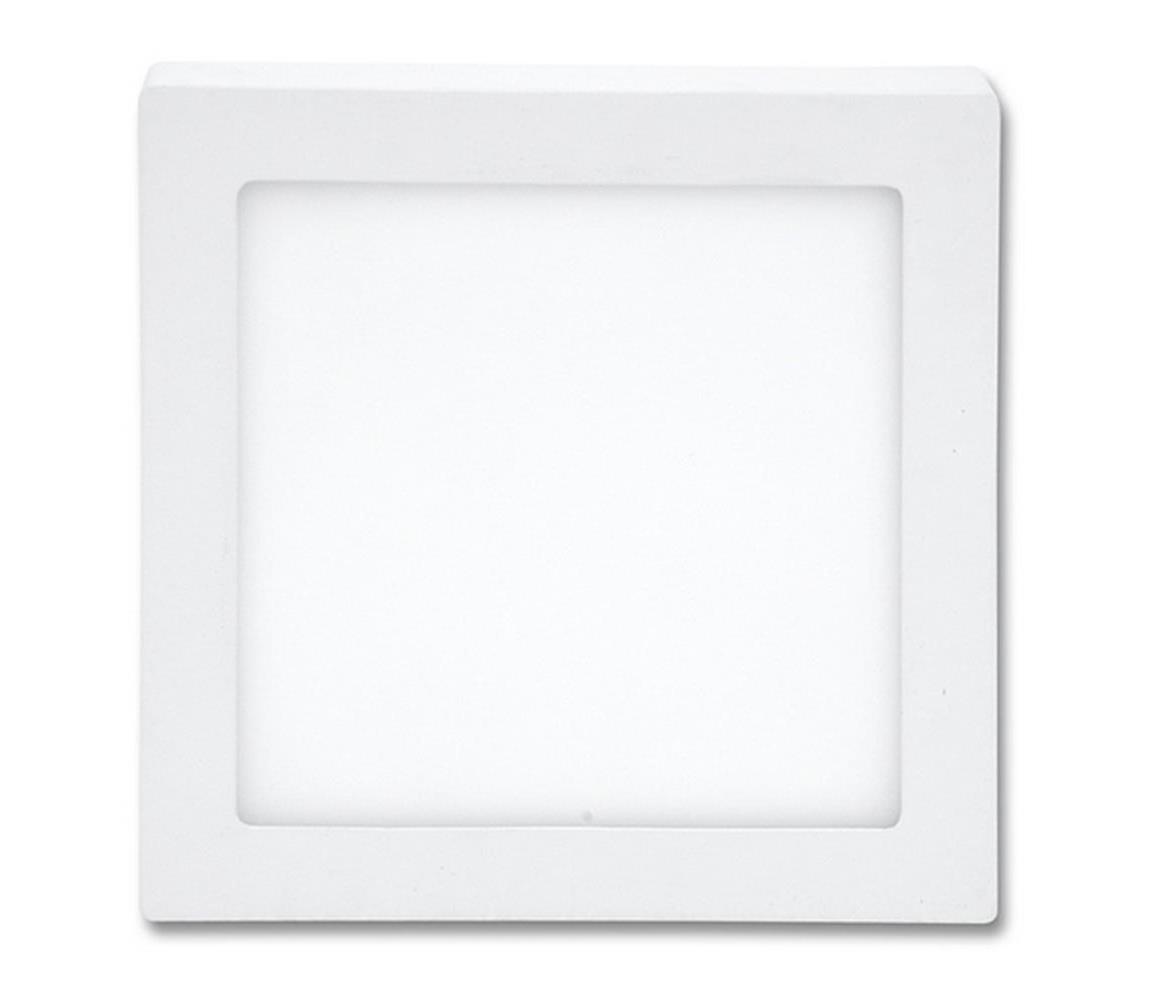 LED Stropné svietidlo RAFA LED/12W/230V 2700K