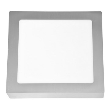 LED Stropné svietidlo RAFA LED/18W/230V 2700K