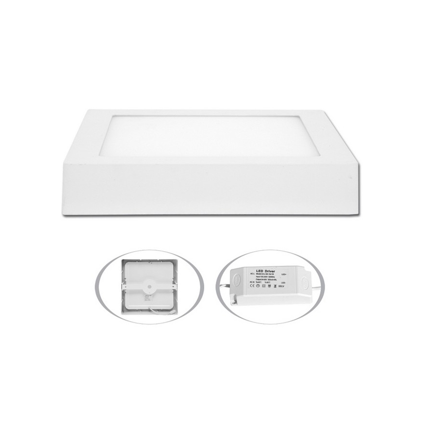 LED Stropné svietidlo RAFA LED/18W/230V 2700K