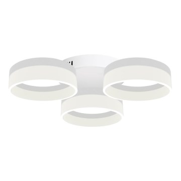 LED Stropné svietidlo RING 3xLED/12W/230V biele