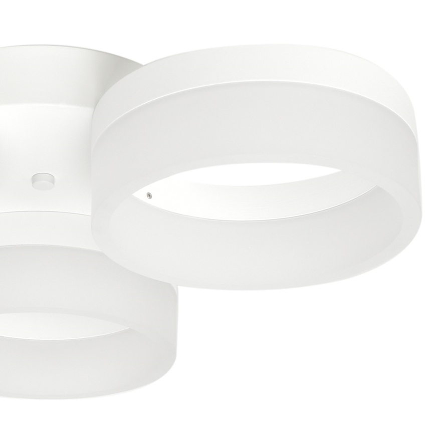 LED Stropné svietidlo RING 3xLED/12W/230V biele