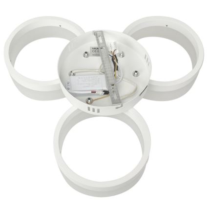 LED Stropné svietidlo RING 3xLED/12W/230V biele