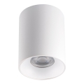 LED Stropné svietidlo RITI 1xGU10/25W/230V biela