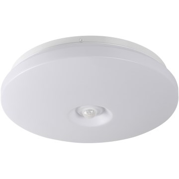 LED stropné svietidlo s detekciou pohybu a súmraku FOGLER LED/12W/230V pr. 28 cm