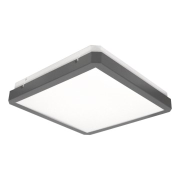 LED stropné svietidlo s pohybovým a súmrakovým senzorom RAVA LED/38W/230V 4000K 41x41 cm antracit