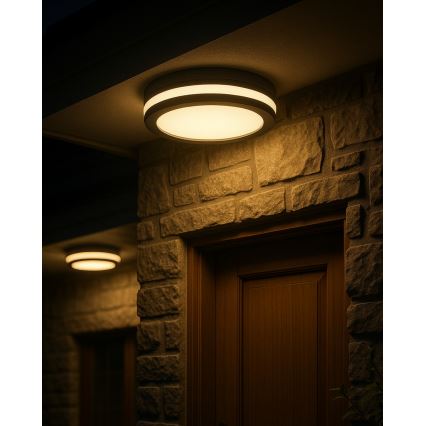 LED kúpeľňové stropné svietidlo s pohybovým senzorom, 20 W, 230 V, 3000/4000/6500 K, priemer 23 cm, IP54, antracit
