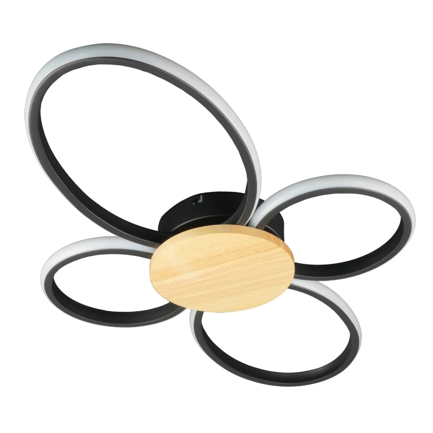 LED Stropné svietidlo SABINA LED/38W/230V kaučukovník