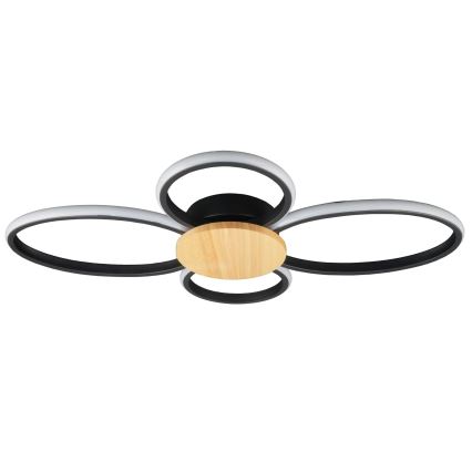 LED Stropné svietidlo SABINA LED/38W/230V kaučukovník