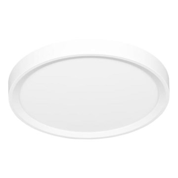 LED Stropné svietidlo SALY LED/40W/230V 3000/4000/6000K pr. 50 cm IP40 biela