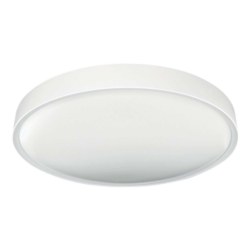 LED Stropné svietidlo SAMER LED/24W/230V 4000K