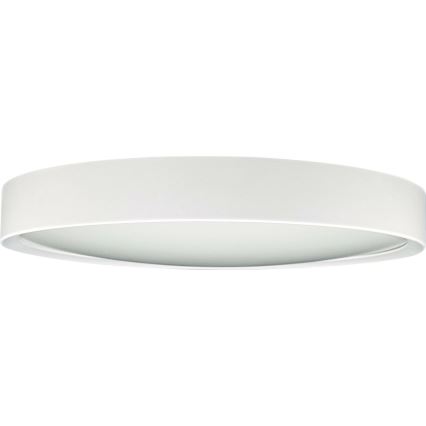 LED Stropné svietidlo SAMER LED/24W/230V 4000K