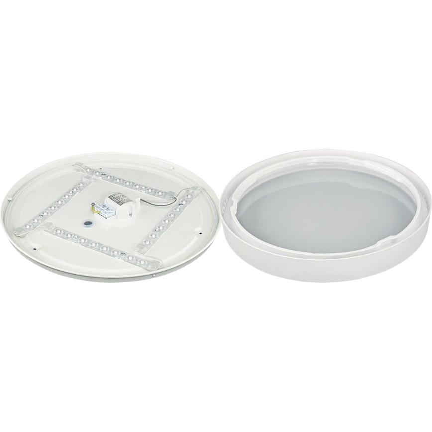 LED Stropné svietidlo SAMER LED/24W/230V 4000K