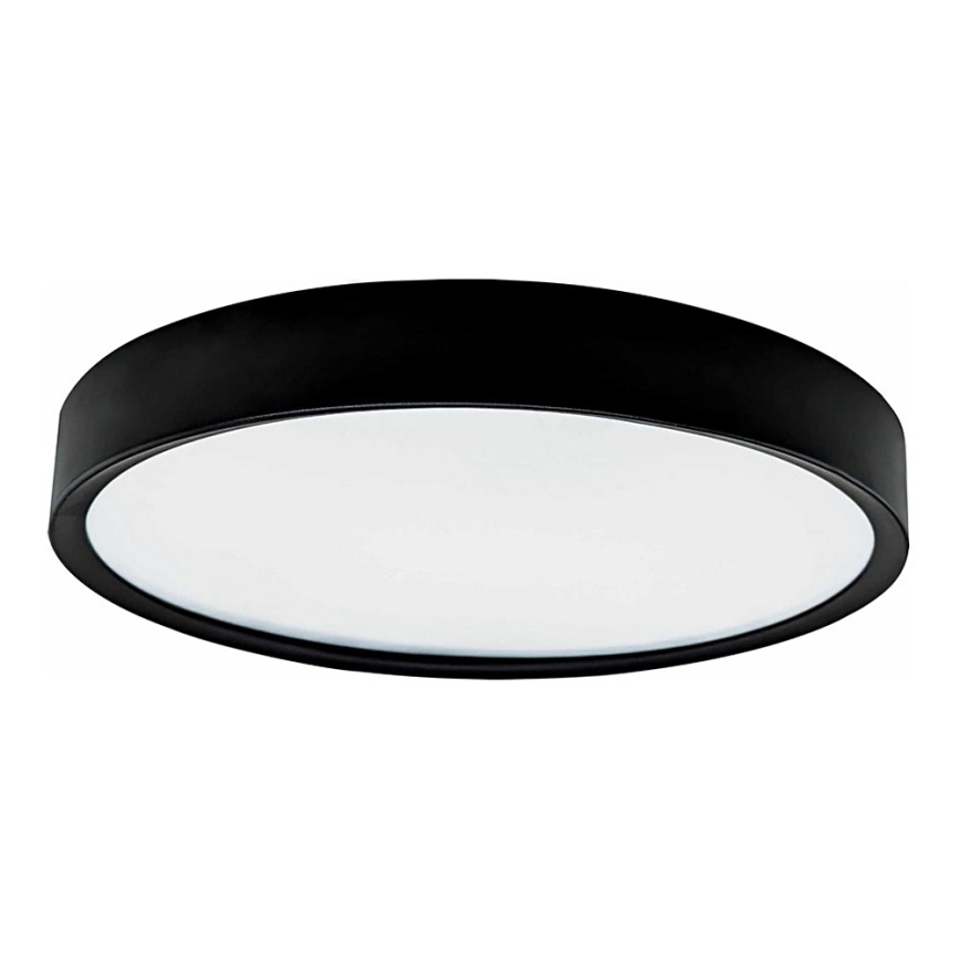 LED Stropné svietidlo SAMER LED/24W/230V 4000K