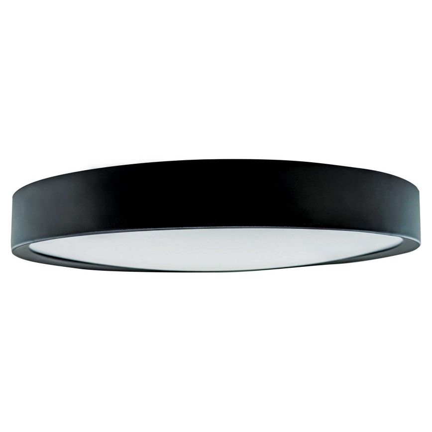 LED Stropné svietidlo SAMER LED/24W/230V 4000K