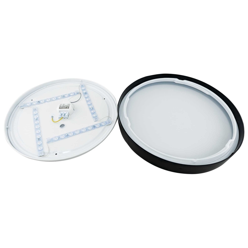 LED Stropné svietidlo SAMER LED/24W/230V 4000K
