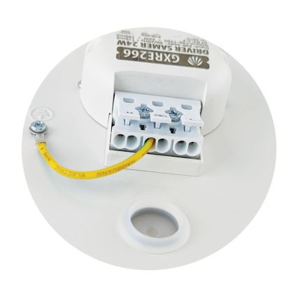 LED Stropné svietidlo SAMER LED/24W/230V 4000K