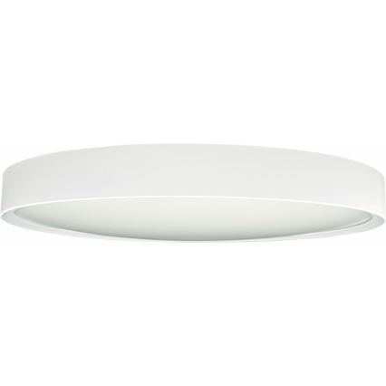 LED Stropné svietidlo SAMER LED/32W/230V 4000K