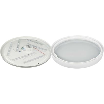 LED Stropné svietidlo SAMER LED/32W/230V 4000K