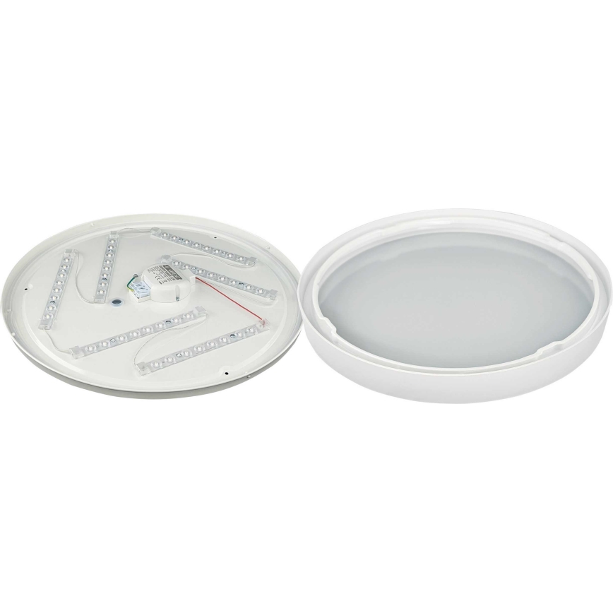 LED Stropné svietidlo SAMER LED/32W/230V 4000K