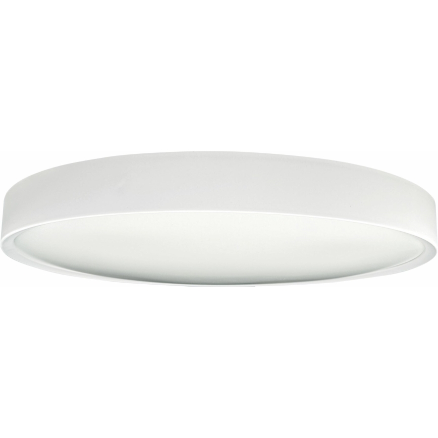 LED Stropné svietidlo SAMER LED/40W/230V 4000K