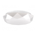 LED Stropné svietidlo SELINA LED/12W/230V