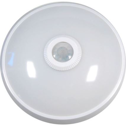 LED Stropné svietidlo so senzorom LED/12W/230V