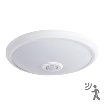 LED stropné svietidlo so senzorom LED/14W/230V 4000K