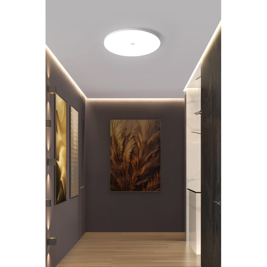 LED stropné svietidlo so senzorom súmraku a pohybu MORETTI LED/24W/230V pr. 30 cm IP40 6500K