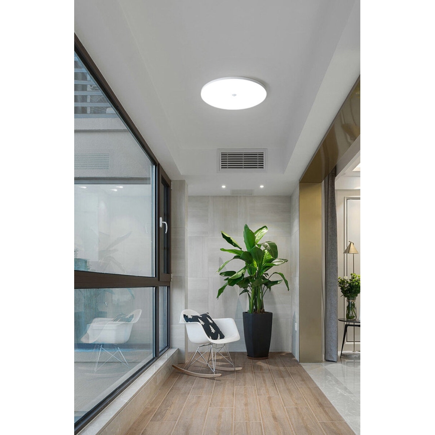 LED stropné svietidlo so senzorom súmraku a pohybu MORETTI LED/24W/230V pr. 30 cm IP40 6500K