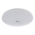 LED stropné svietidlo so senzorom súmraku a pohybu MORETTI LED/24W/230V pr. 30 cm IP40 6500K