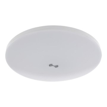 LED stropné svietidlo so senzorom súmraku a pohybu MORETTI LED/24W/230V pr. 30 cm IP40 6500K