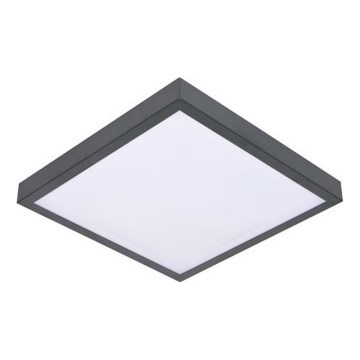 LED Stropné svietidlo so senzorom VITALI LED/24W/230V 4000K