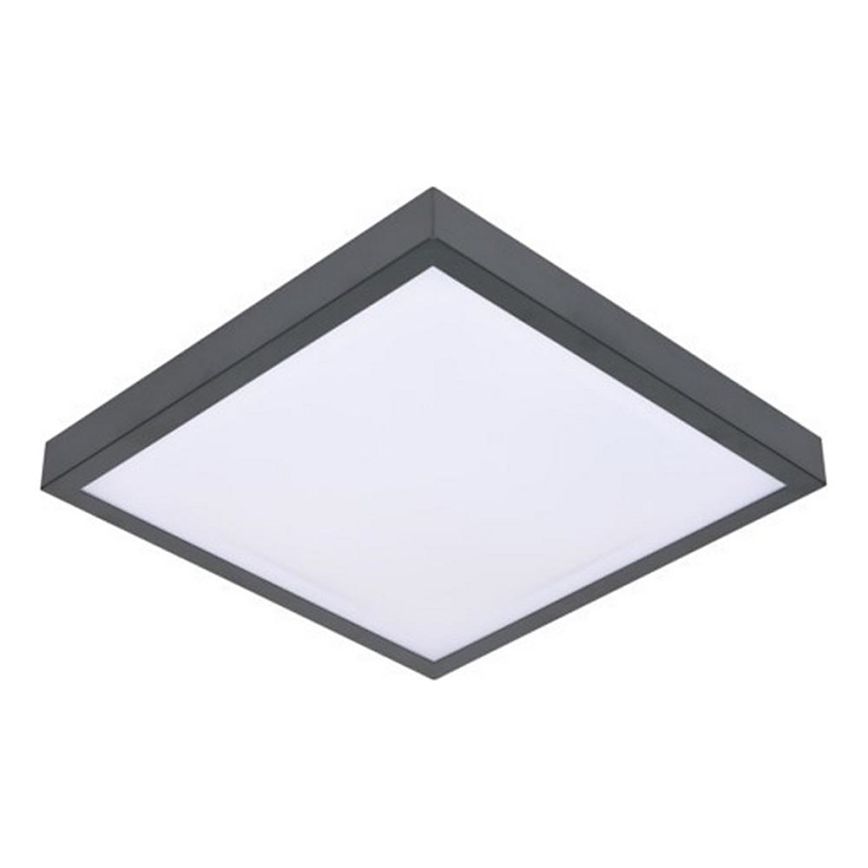 LED Stropné svietidlo so senzorom VITALI LED/24W/230V 4000K