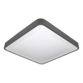 LED stropné svietidlo so snímačom pohybu a súmraku WILTON LED/24W/230V 4000K 33x33 cm antracit
