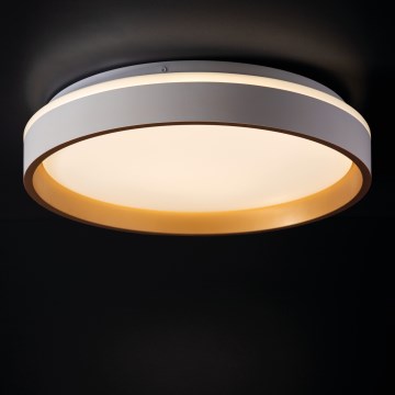 LED Stropné svietidlo SOLN LED/17,5W/230V pr. 38 cm biela/zlatá