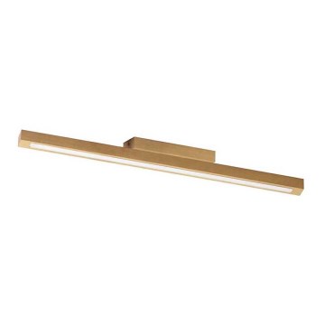 LED Stropné svietidlo TRENTO LED/20W/230V
