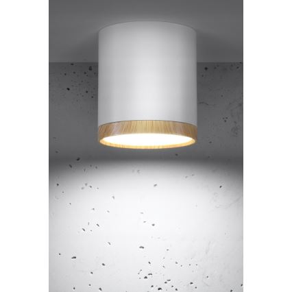 LED Stropné svietidlo TUBA LED/5W/230V biela/béžová