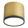 LED Stropné svietidlo TUBA LED/9W/230V