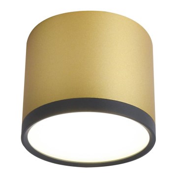 LED Stropné svietidlo TUBA LED/9W/230V