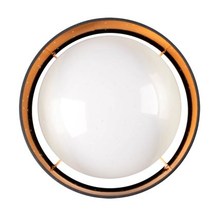 LED Stropné svietidlo TULUZA LED/18W/230V pr. 32 cm čierna
